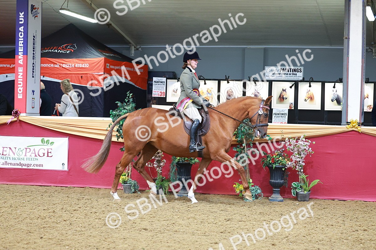 SBM_09902 - Class 102 - HOYS Veteran Qualifier - Ridden Veteran