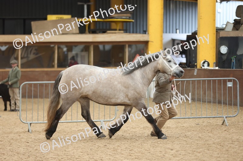 20251109-0886 - Class 26 - 2 and 4 Year Olds