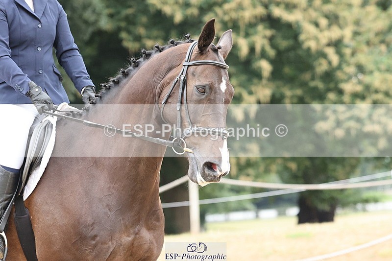 250718A-100944-00455 - 136-Ruth.Hampshire-Thelken.Marco's.Moment