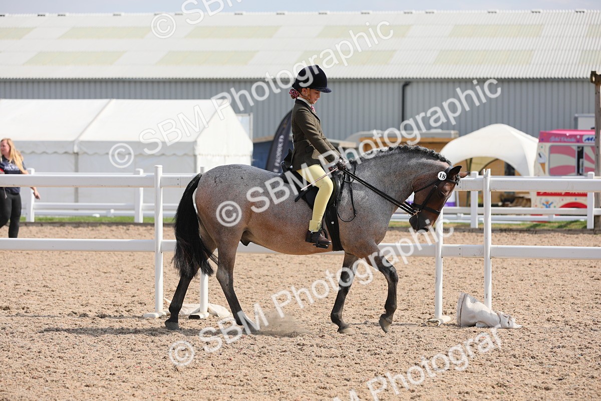 SBM_14687 - Class 310 First Ridden Pony