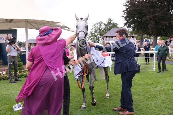 yr17082022r5-59 - Race 5 4.10pm Sky Bet Stayers Stakes