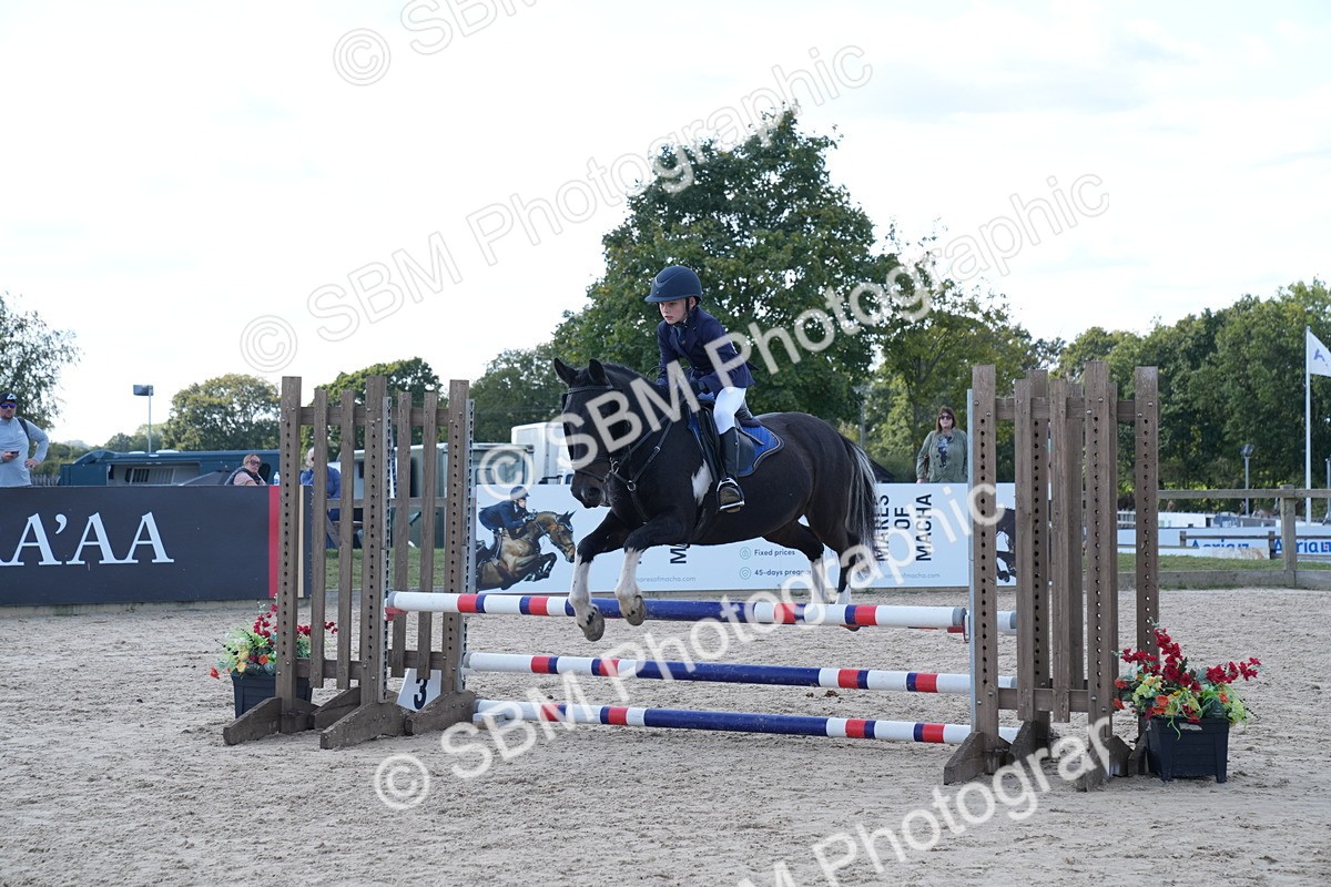 SBM_25957 - J61 - Clear Round 75cm & 85cm