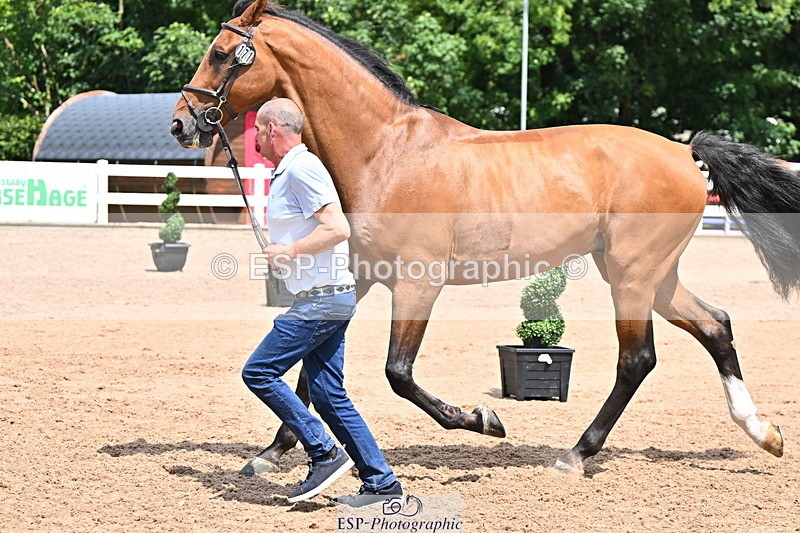 240718A-105308-01598 - Trot Up 1pm to 2pm