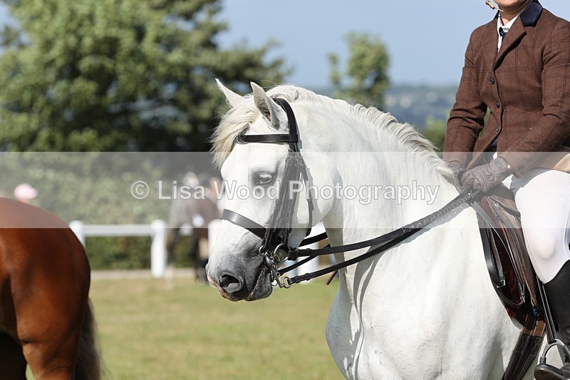 JPP_2952 - Class 20: Working Hunter 70cm