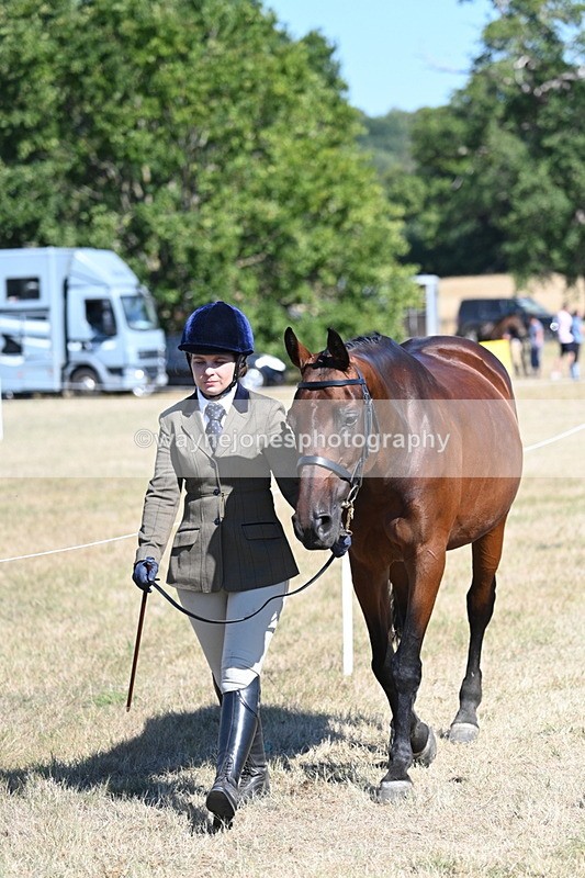 WJ7_1817 - Class 43 Best Six Legs (In hand)