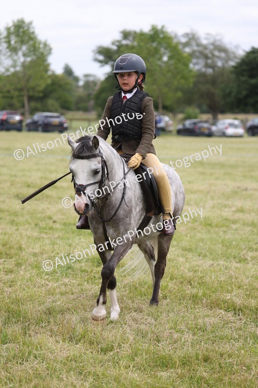 20260614-3106 - Class 22 - Open Working Hunter
