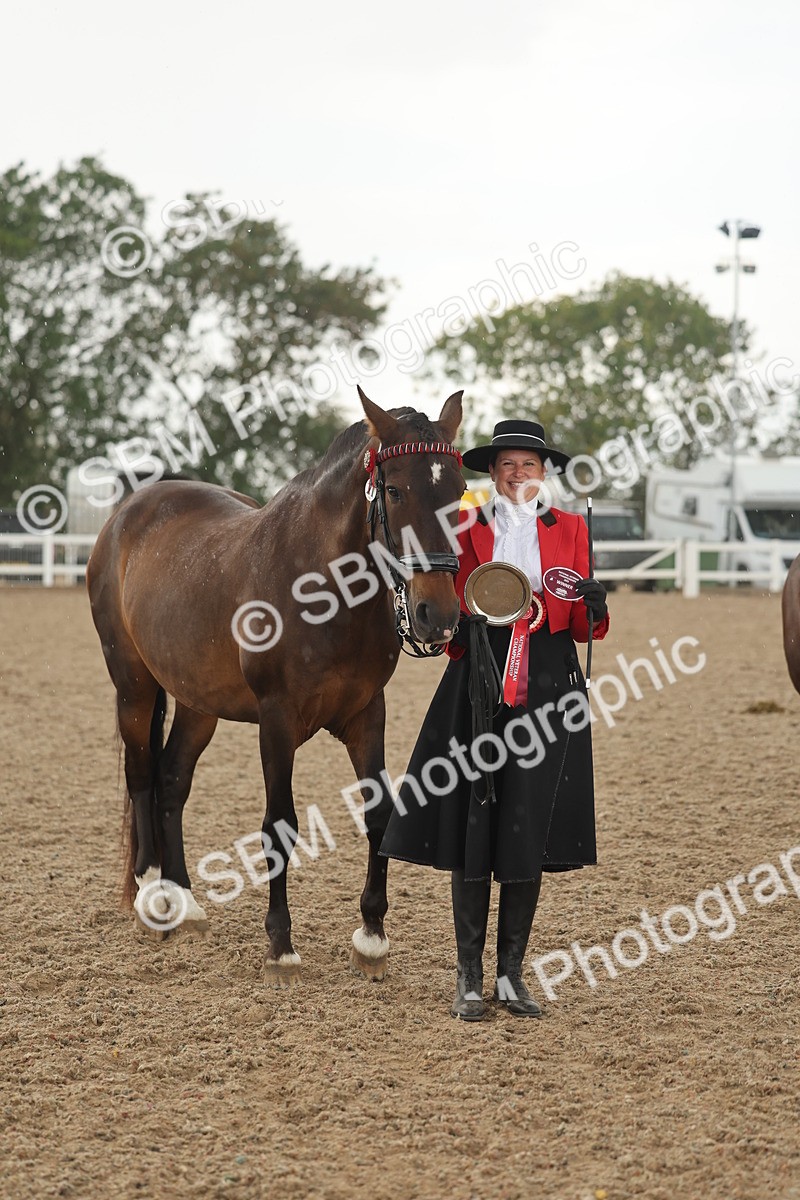 SBM_07708 - Class 26 - IH Foreign Breeds - Part Bred