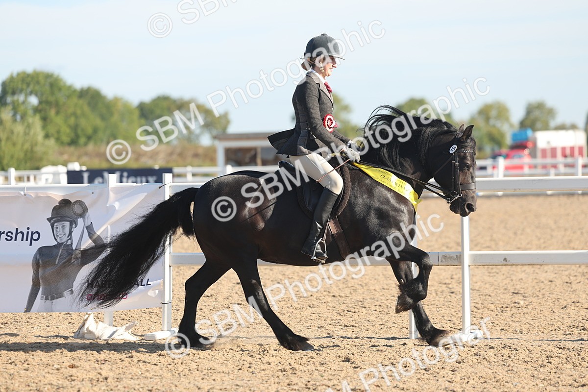 SBM_11144 - Class 302 - Ridden M&M Large Breeds