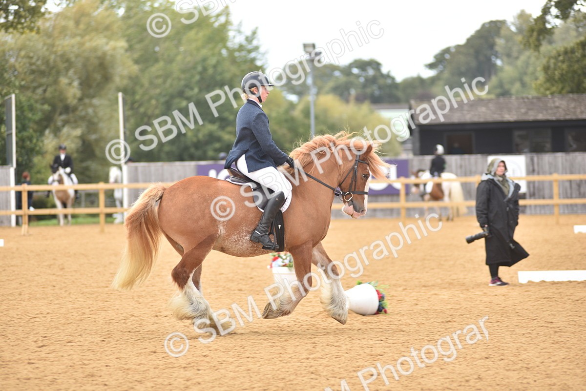 SBM_29616 - D16 -Small Tour Championship Novice 2