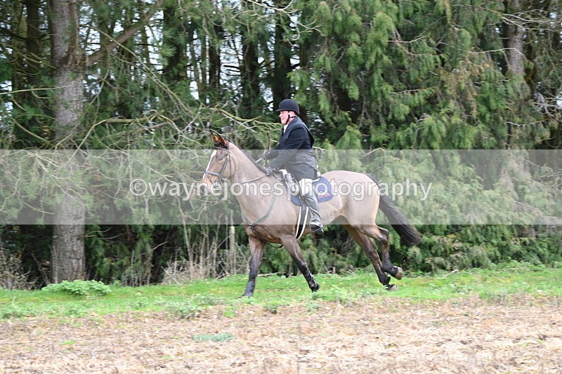 WJ6_9741 - Line Four