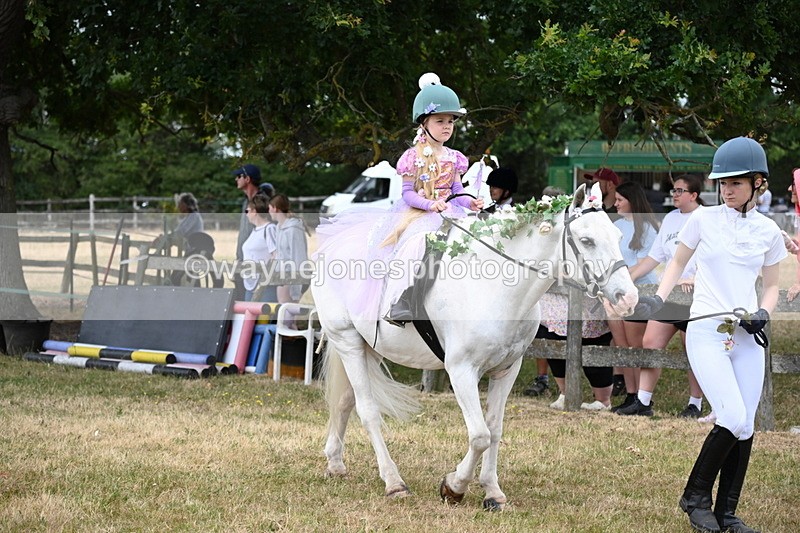 WJ6_4639 - Class 11 Fancy Dress