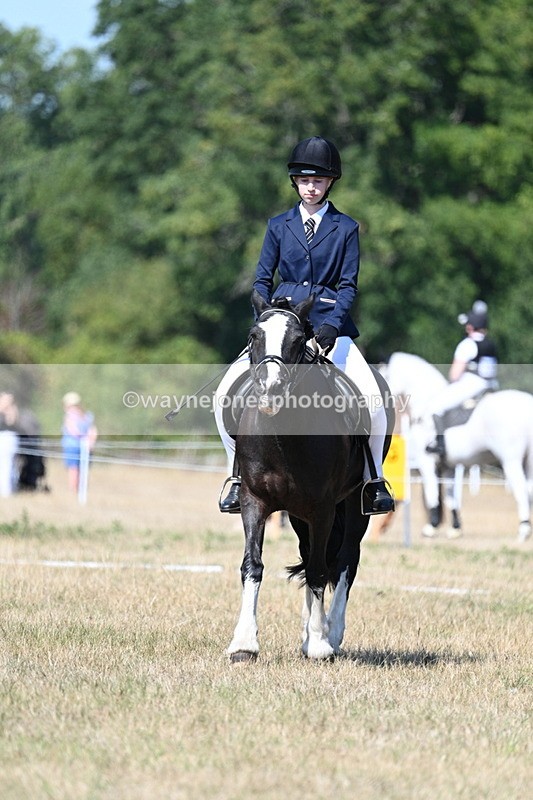 WJ7_0219 - Time 11:03 to 11:28