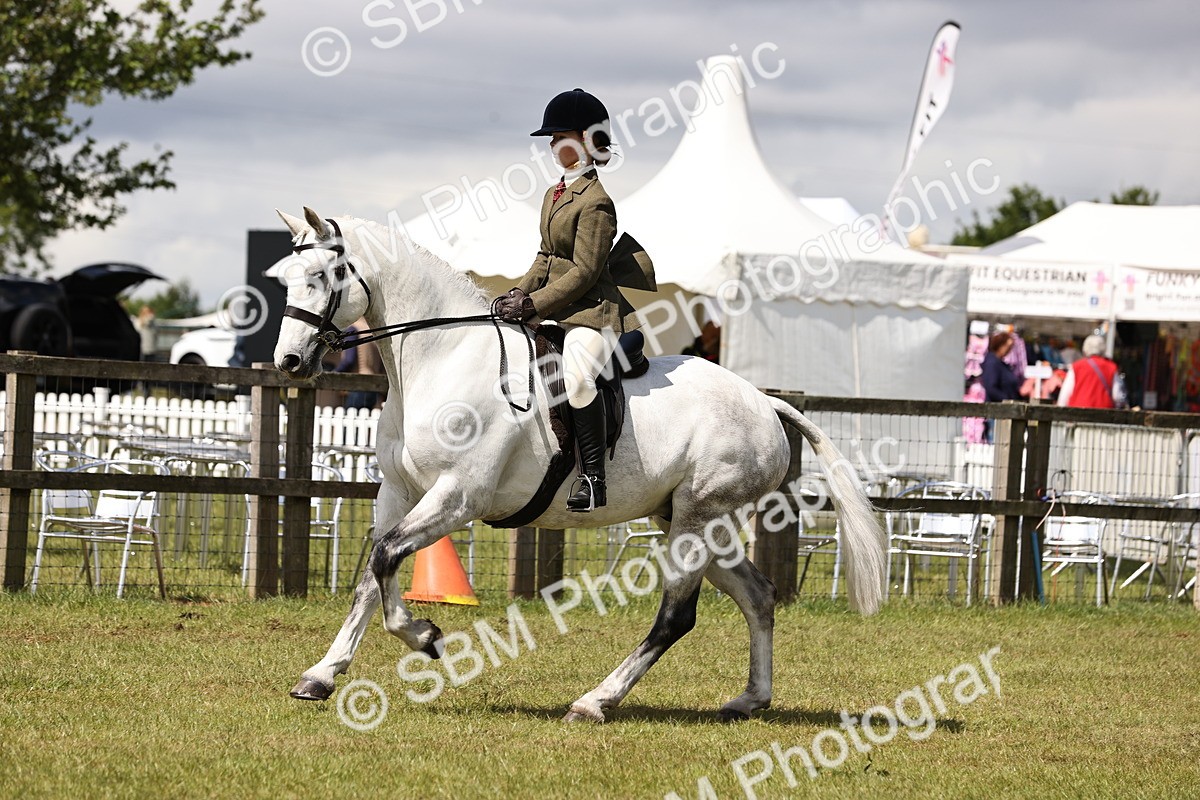 SBM_14543 - Class 88-89 - LIHS BSHA Rising Star of Ridden Hunter Type