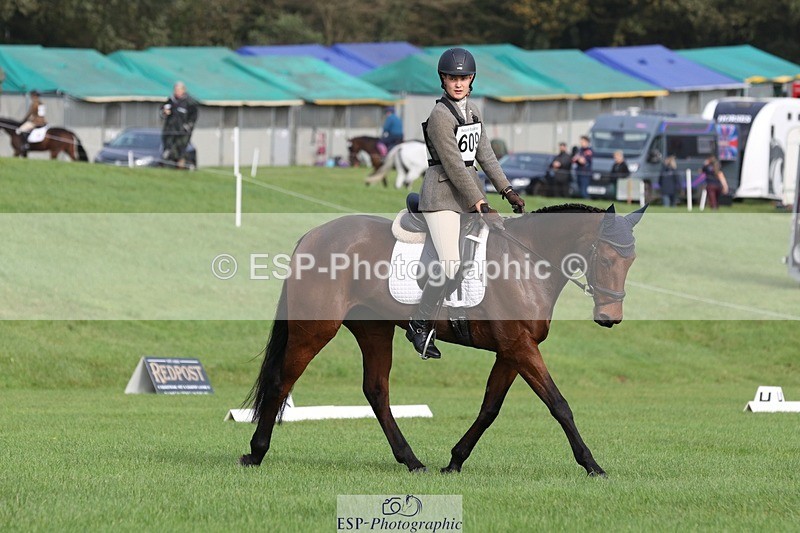 231019-110309-02532 - 609-WHAT.A.WONDER-Harry.Robinson-DR