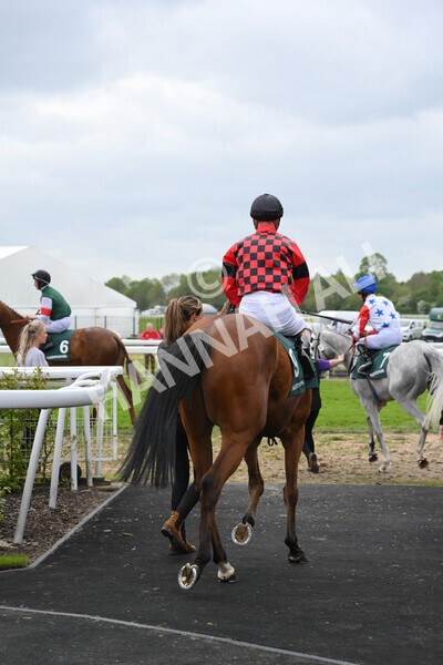 yr13052022r3-4 - Race 3 3.00pm Paddy Power 'I Love Steak' Stakes