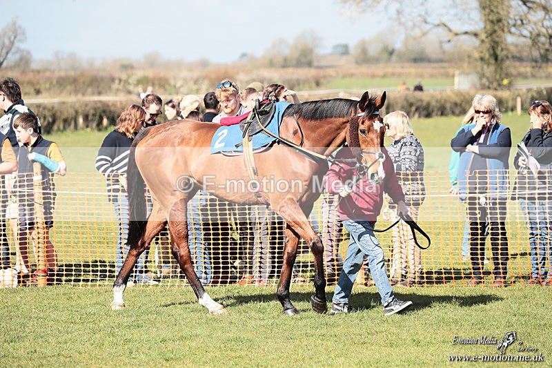 PtP 210326 09 - VWH Cirencester Races 21/03/26