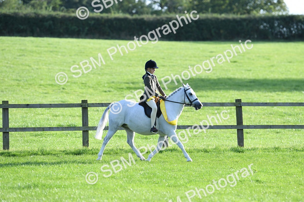 SBM_52449 - S22 - 1st Ridden Show & Show Hunter Pony