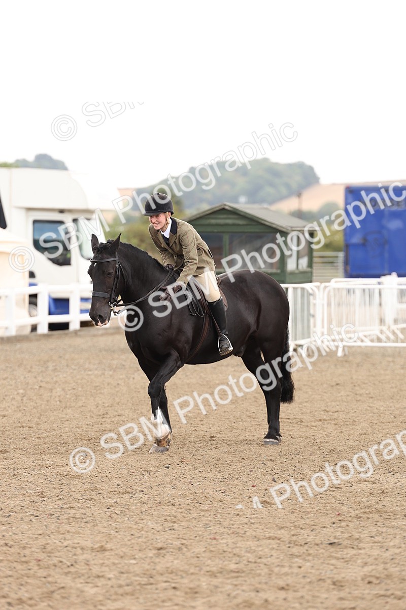 SBM_02916 - Class 53 - Ridden Competition Horse/Pony