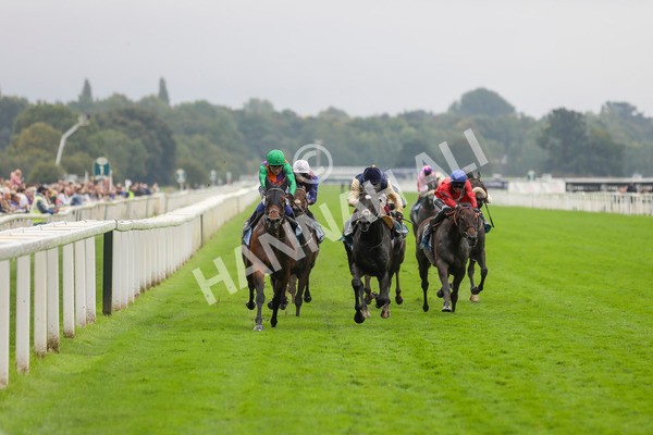 080924-Race 5-Quinault-4504 - Race 5 4.00pm Starman At Tally Ho Stud Garrowby Stakes