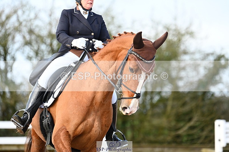 240218A-113337-06400 - 175-Jane.Morris-Silverstar.Z