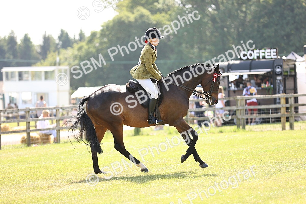 SBM_13020 - Class 75-76 LIHS BSHA Rising Star Hack Riding Horse