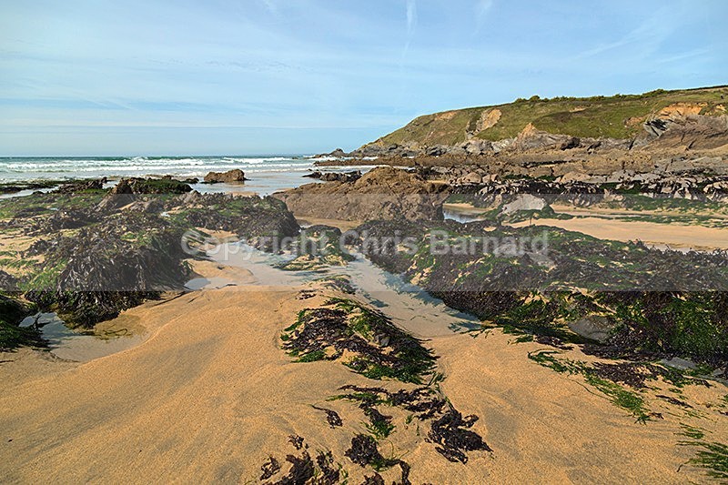  - Dollar Cove Gunwalloe