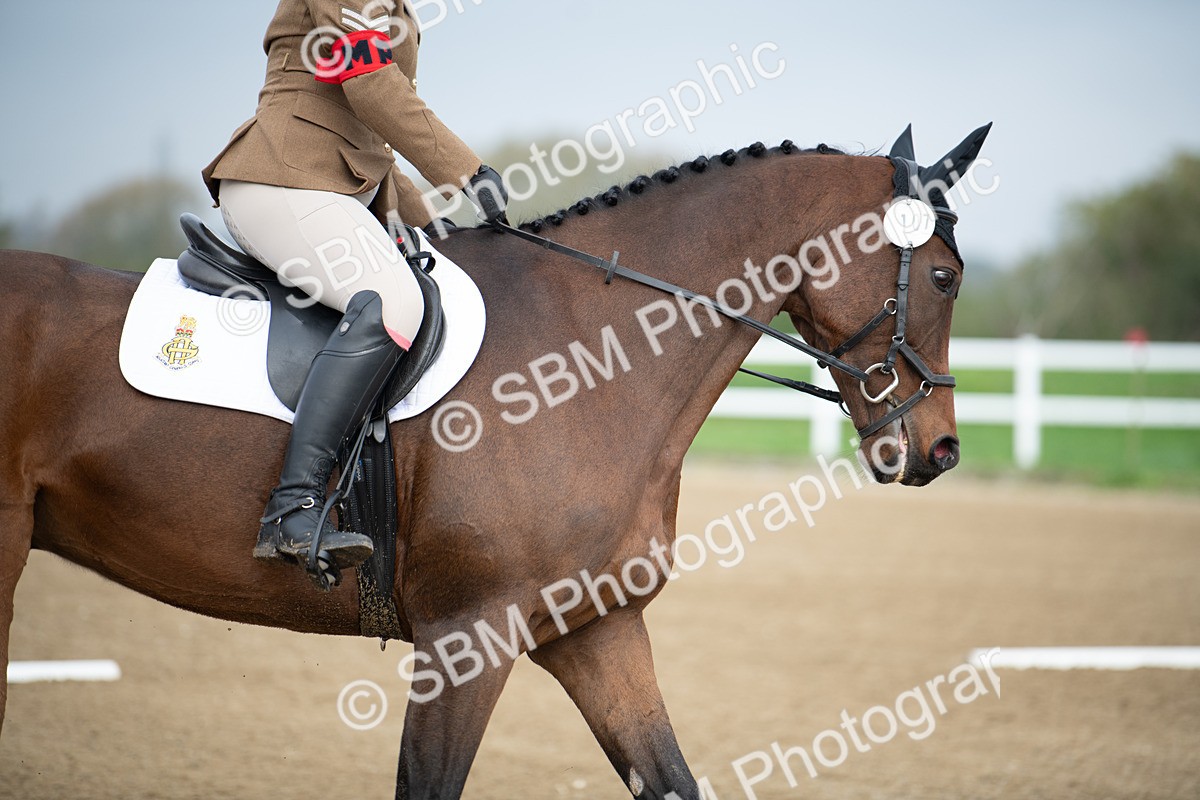 SBM_003544 - Introductory Test 3