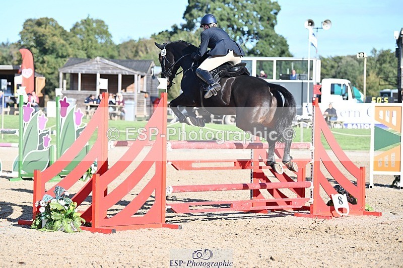 231022-104519-23468 - 259-BOSTON.IV-Rosie.Thomson-SJ