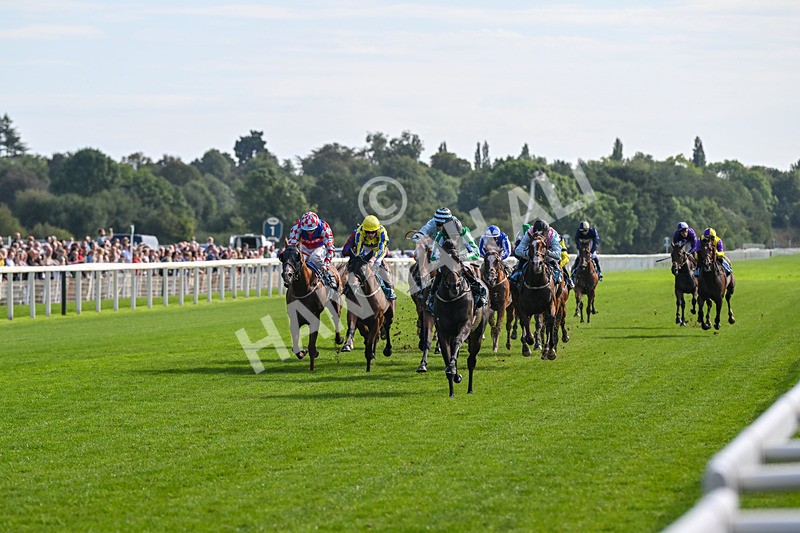 060926-Race 4-Stoneacre Donny-8000 - Race 4 3.15pm Saltmoore Collection Handicap