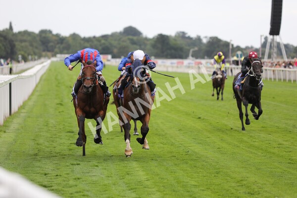 yr23072022r3-26 - Race 3 3.15pm Sky Bet York Stakes