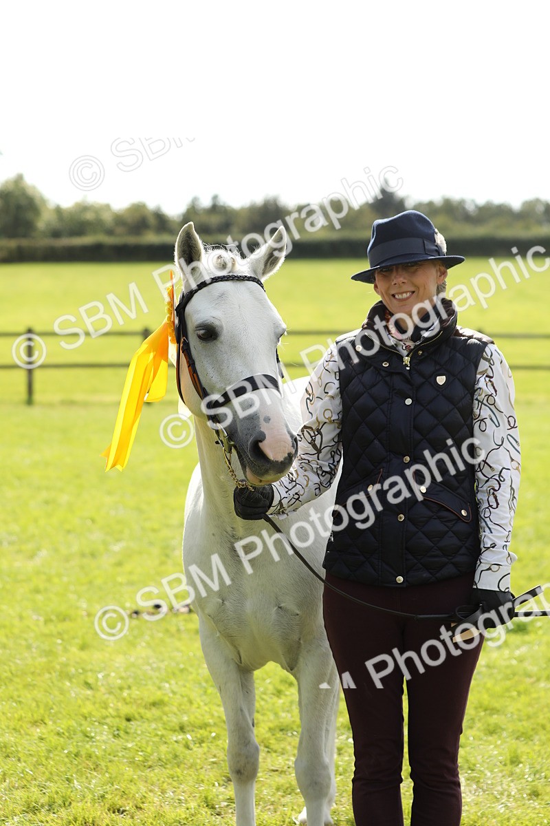 SBM_65630 - S48 - Show Pony & Show Hunter Pony In Hand