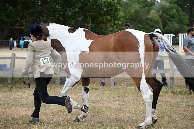 WJ6_8153 - Class 10 Coloured in Hand