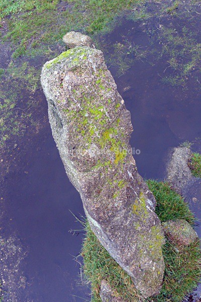 Dartmoor Standing Stone - Landscapes & Seascapes