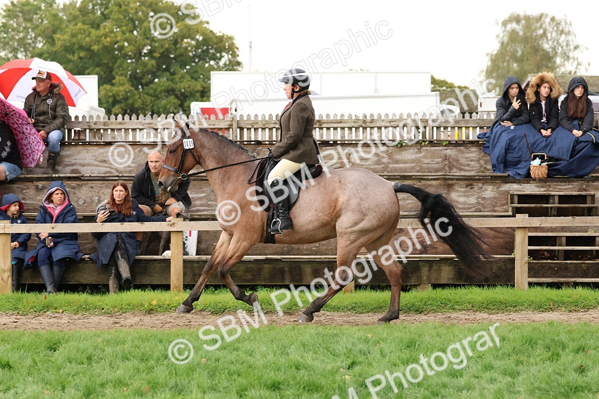 SBM_45021 - S27 - Young Veteran Ridden