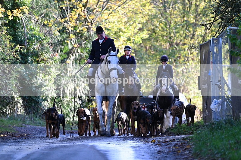 WJ7_8591 - Walk Home