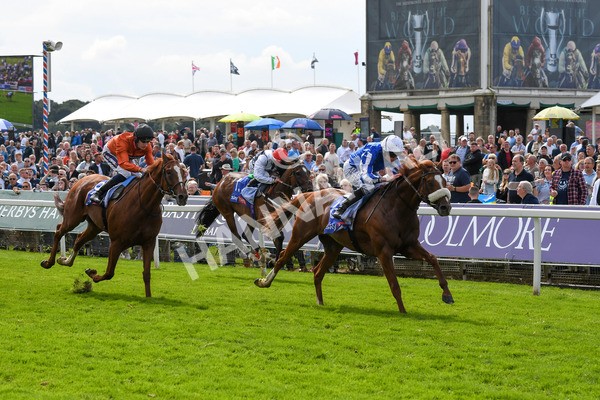 250823-Race 1-Marhaba The Champ-0133 - Race 1 1.50pm Sky Bet Handicap