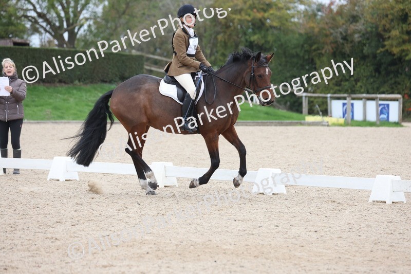 20251011-0512 - Class 5 - Novice 3