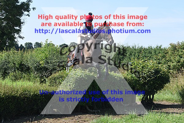 SNCP_0043 - A Group