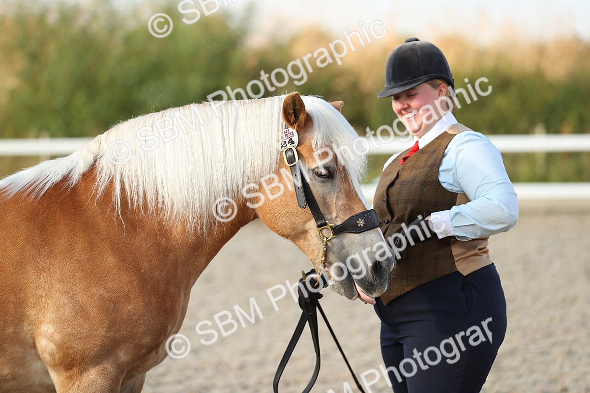 SBM_09044 - Class 29 IH Veteran Pony