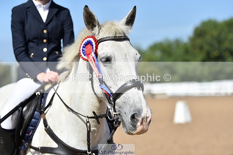 230903A-113732-04240 - Cls 18 Pony Brit Novice & 80cm Open