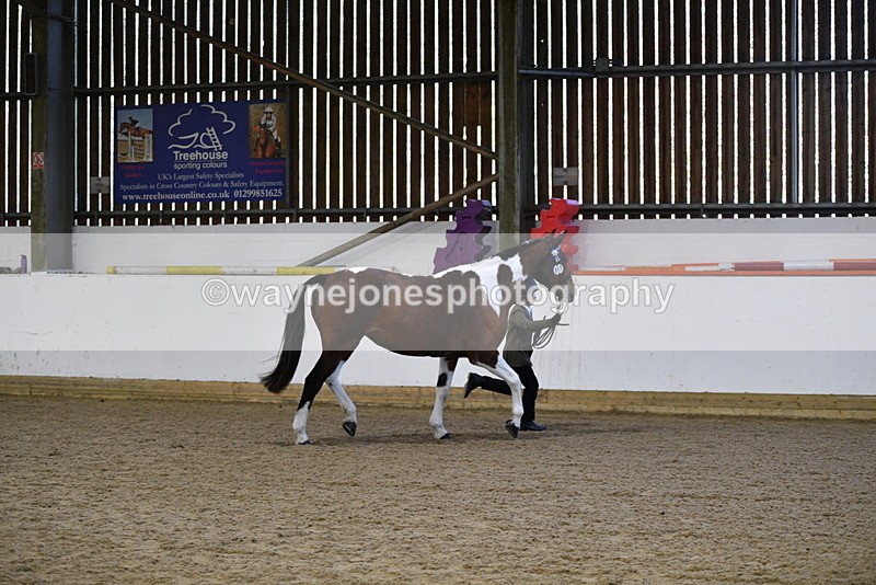 WJ5_3861 - Class 5 In Hand Veterans