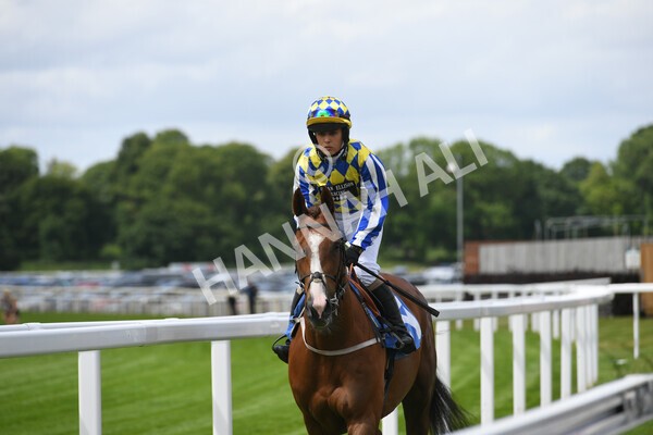 yr11062022r2-4 - Race 2 2.00pm Queen Mother's Cup