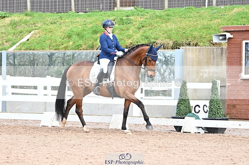 240218A-141611-08028 - 209-Charlotte.Dicker-Catherston.Tarantella