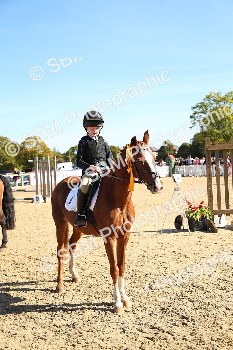 SBM_36048 - J5 - Junior Pony 50cm Championship