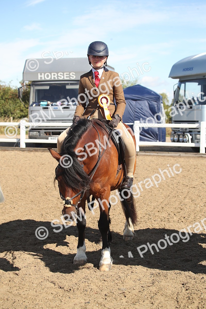 SBM_12782 - Class 504b - Junior Working Veteran - 40cm (20+)