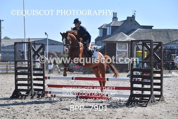 BPP_7901 - CLASS 1 - CLEAR ROUNDS