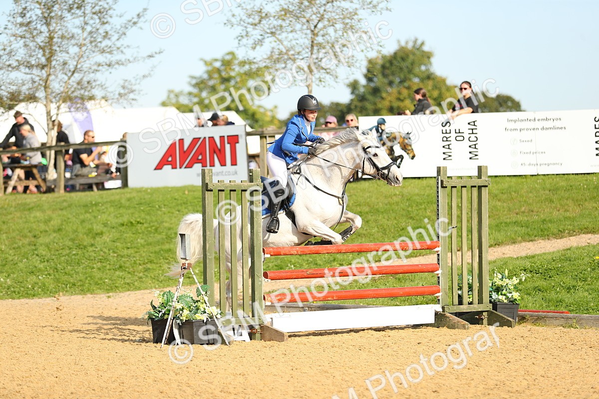 SBM_60331 - J41 - Grand Tour 95cm Championship