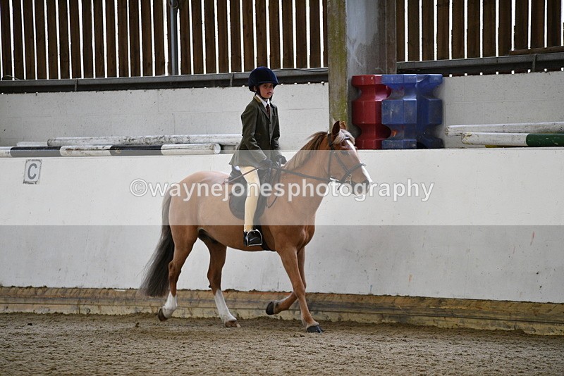 WJ5_6502 - Class 10 Childs Pony