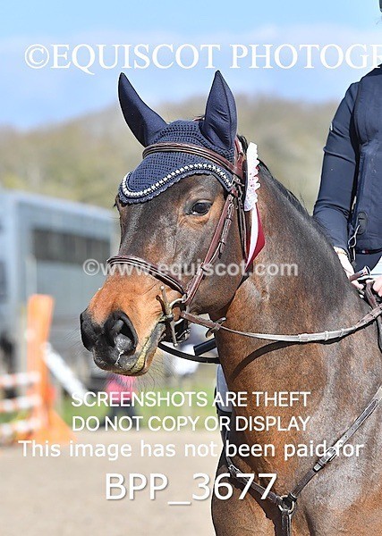 BPP_3677 - CLASS 2 FRI Club/ Unaffiliated 90cms Open