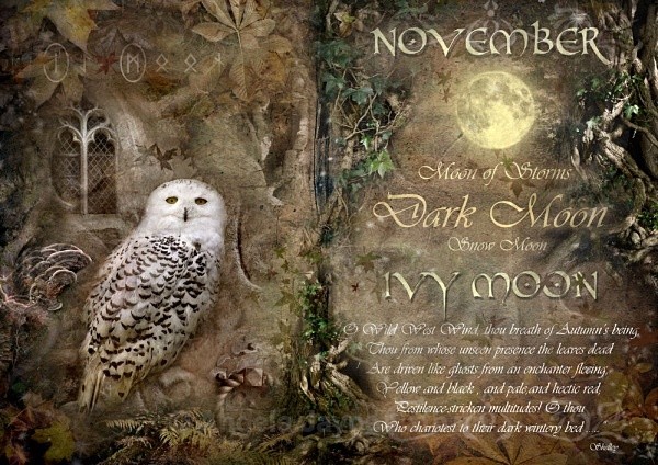November / Ivy Moon - The Wheel of the Year